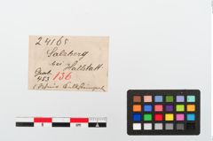 Etiketten zu Perlenkette (NHMW-PRAE-024165)